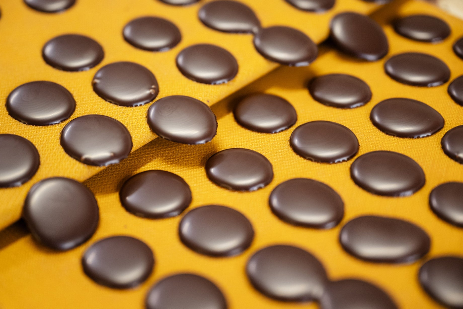 Quelle différence entre chocolat noir, lait et blanc ?