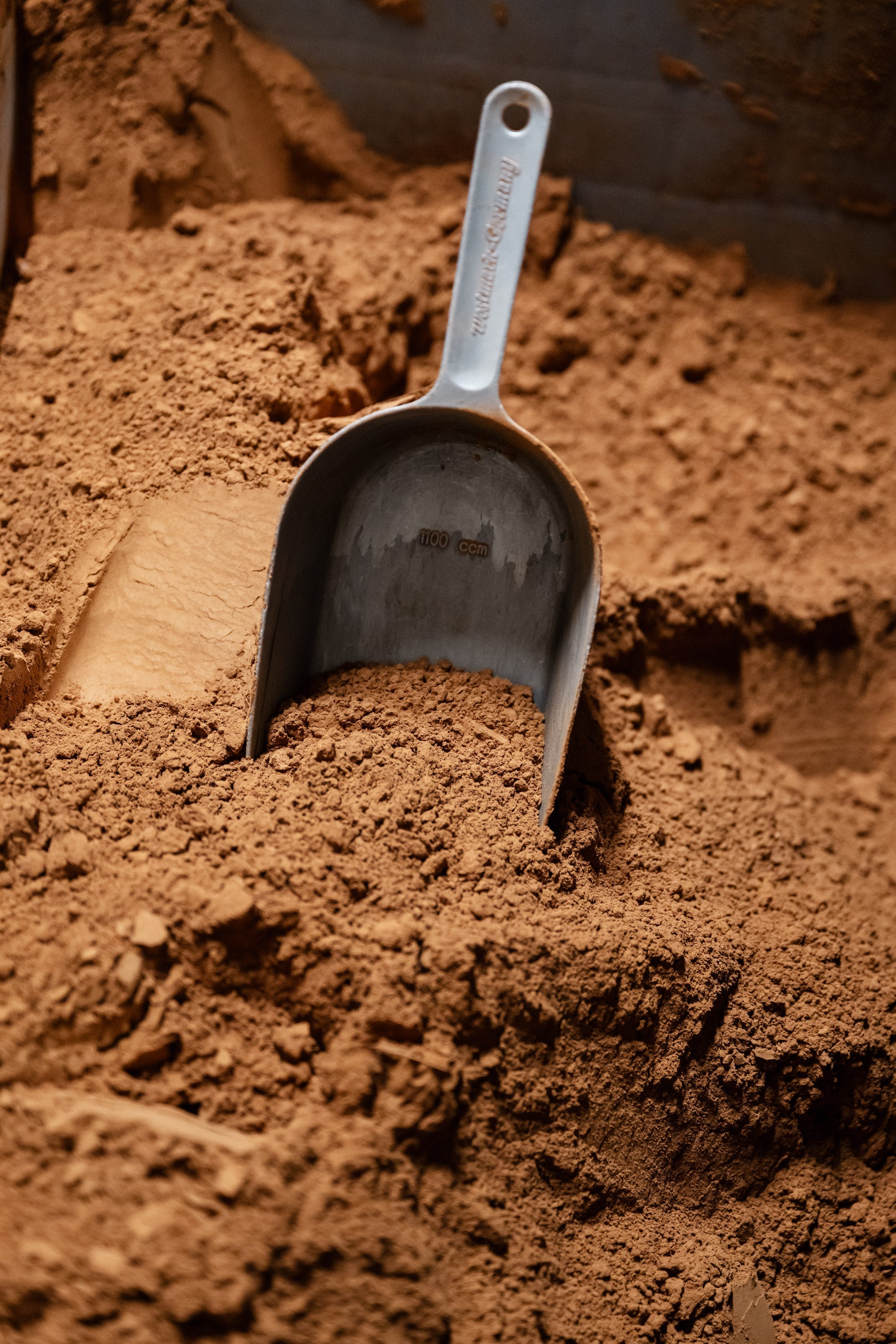 poudre-de-cacao-morin