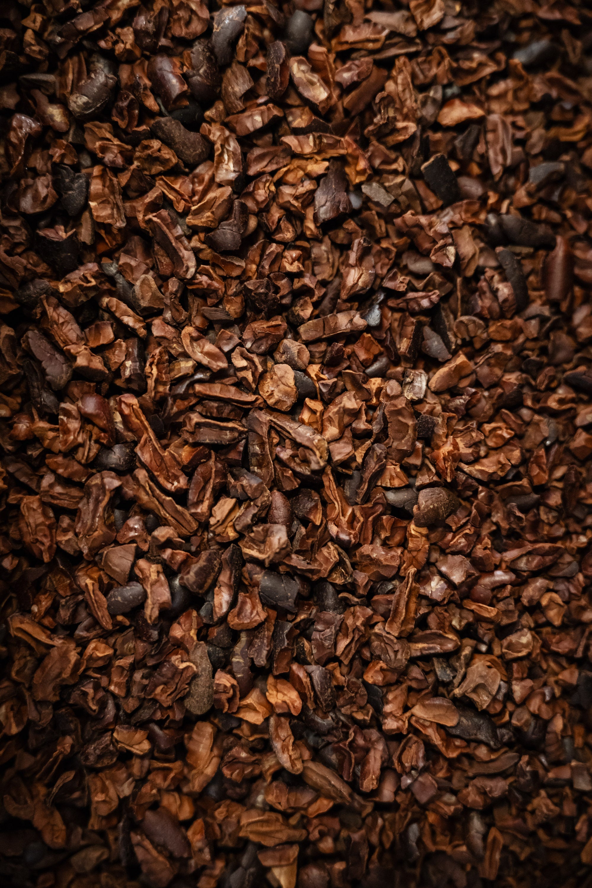 nibs-grué-morin-chocolat