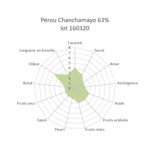 Bloc de chocolat noir Pérou Chanchamayo 63% BIO - 1kg