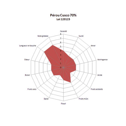 Bloc de chocolat noir Pérou Cusco 70% BIO - 1kg