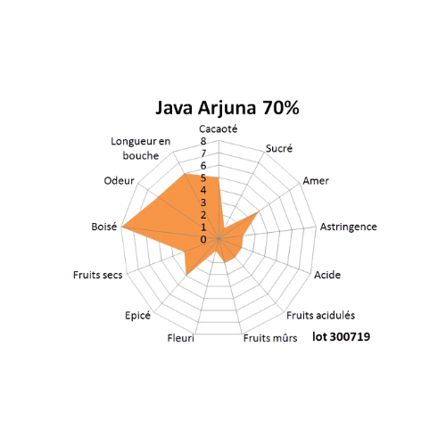 Bloc de chocolat noir Indonésie Java 70% - 1kg
