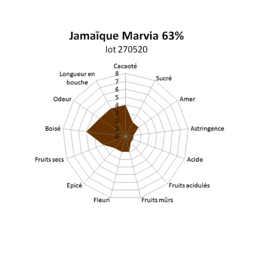 Bloc de chocolat noir Jamaïque Marvia 63% - 1kg