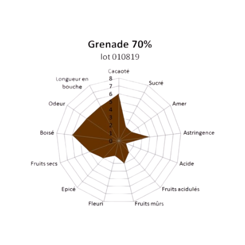 Bloc de chocolat noir Grenade Arawaks 70% - 1kg