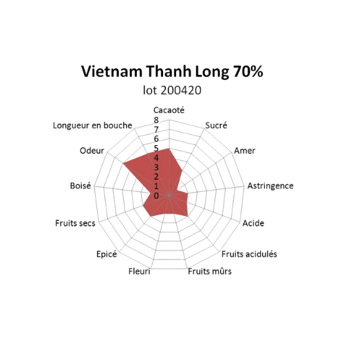 Bloc de chocolat noir Vietnam Thanh Long 70% - 1kg