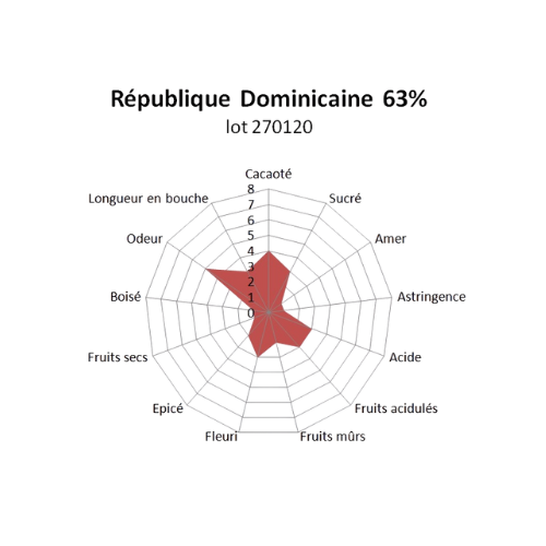 Bloc de chocolat noir République Dominicaine Yamasa 63% - BIO 1kg