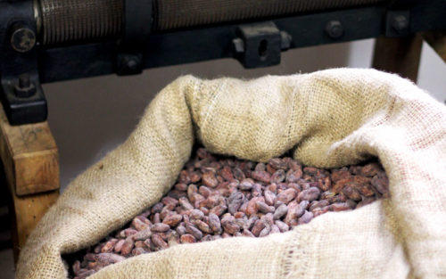 cacao Nibs de cacao Pérou Chanchamayo 100% en boîte 200g – Image 2