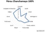 Bloc de pâte de cacao Pérou Chanchamayo 100% BIO 0.9kg – Image 2