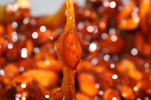 IMG_3439 Pralines - amandes caramélisées – Image 1