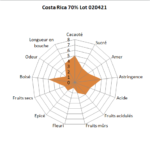 Bloc de chocolat noir Costa Rica Quetzal 70% 1kg – Image 2